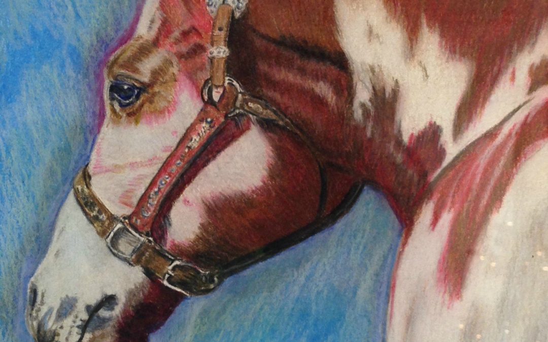 Horse, colored pencil on watercolor paper, 8″ x 10″