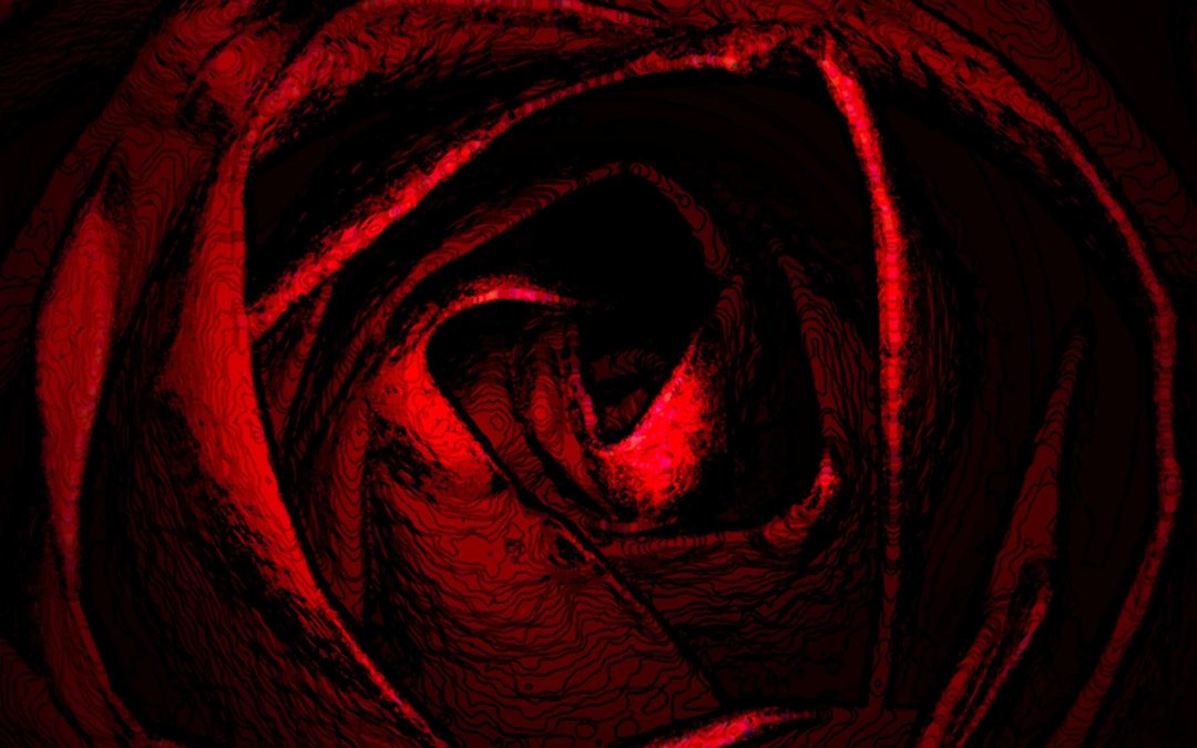 Midnight Rose, photography