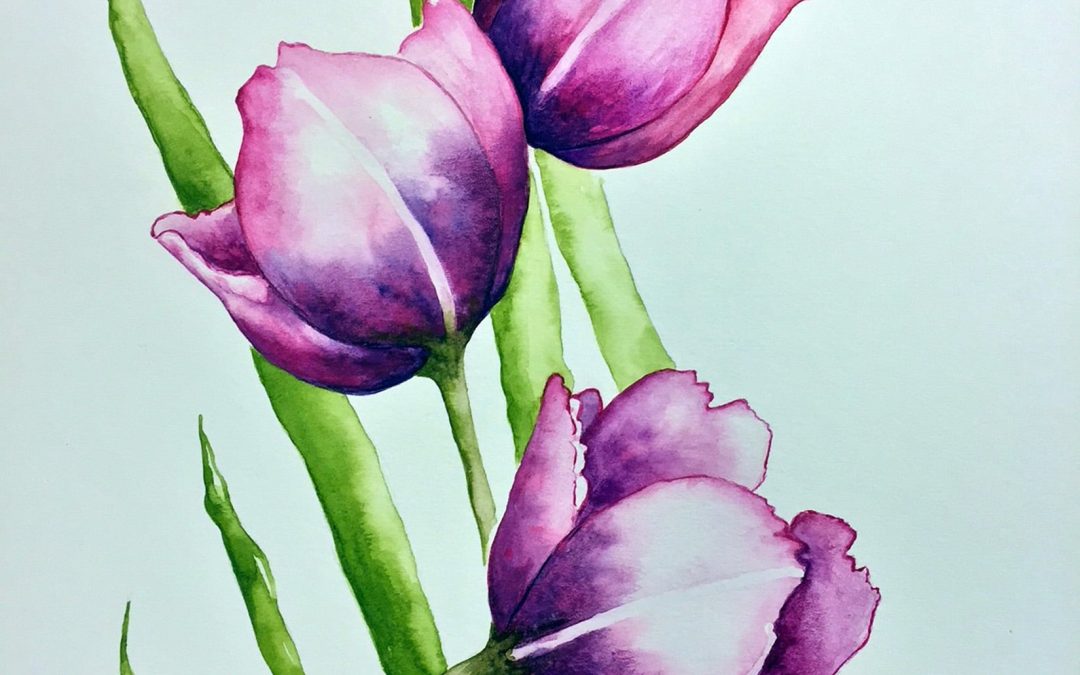 Pink Tulips, watercolor on paper, 8″ x 11″