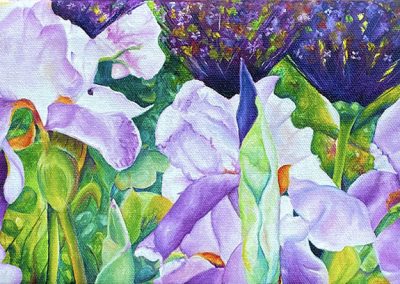 Tom's Irises